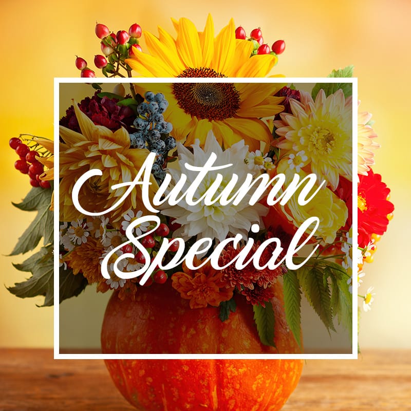 A Touch of Autumn: How to Design a Stunning Fall Floral Arrangement for Your Naples Home