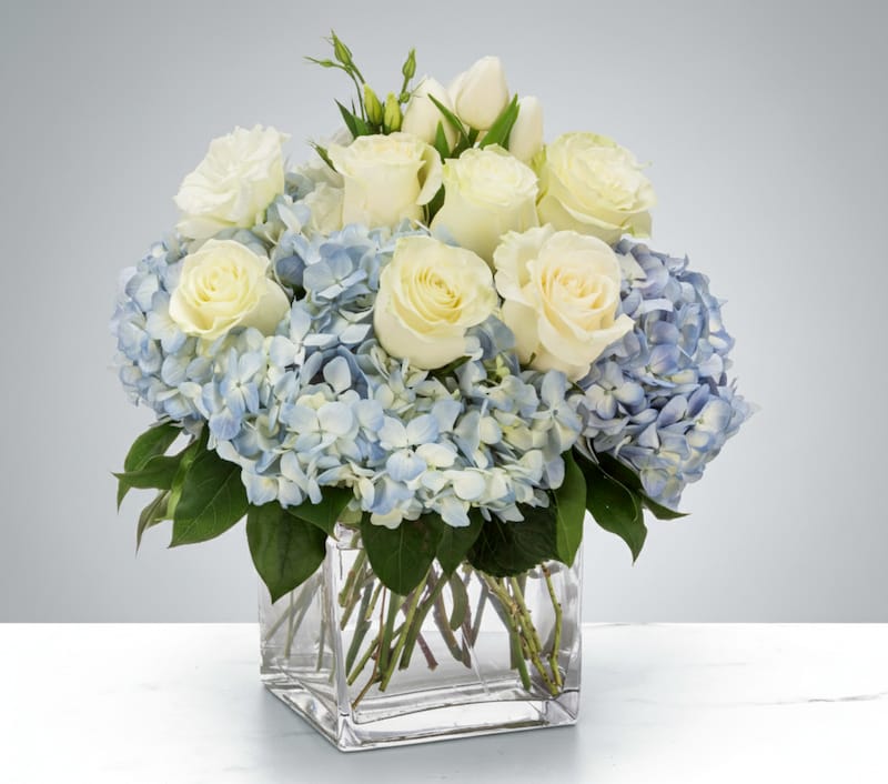 A modern sympathy arrangement featuring light blue hydrangeas and white roses in a square glass vase, an example of a subtle color palette for condolences.