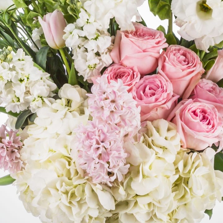 Luxury Havencrest arrangement with white and blush roses for a Naples flower care guide. Shows preservation in hot SWFL climate.